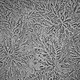 Image for article titled Tears of joy and tears of sadness look different under the microscope
